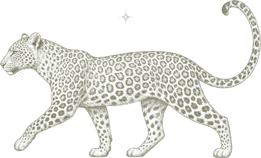 An engraved leopard, walking